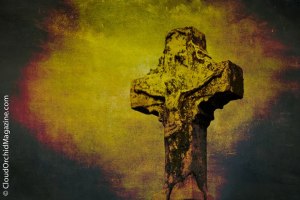 164972_524070420964688_808594090_n