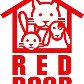 Donate this Christmas