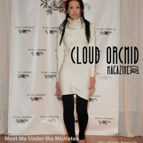 Past Issues -Meet Me Under the Mistletoe Red Carpet Fashion Show&nbsp;2013