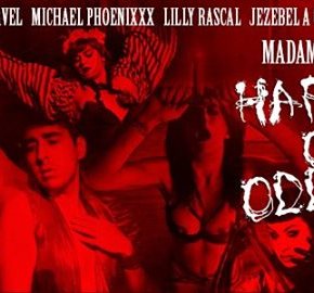 Harem of Oddities