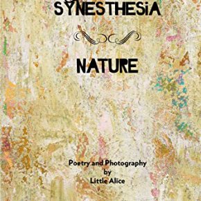 Ramblings of a Glass Mind – The Synesthesia Poetry&nbsp;Books